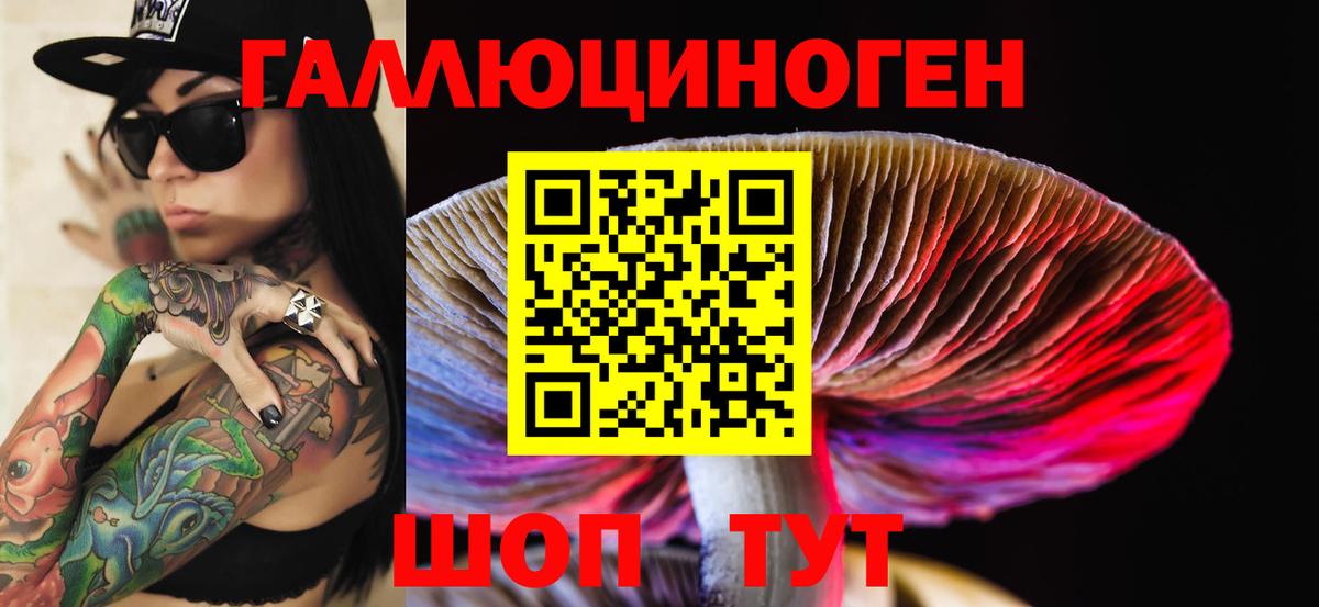 Галлюциногенные грибы MAGIC MUSHROOMS Магадан
