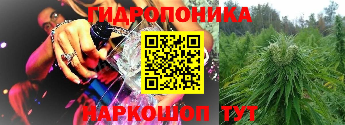 Бошки марихуана OG Kush Магадан